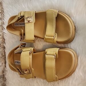 Steve Madden Tan  Sandals with Buckle Detail